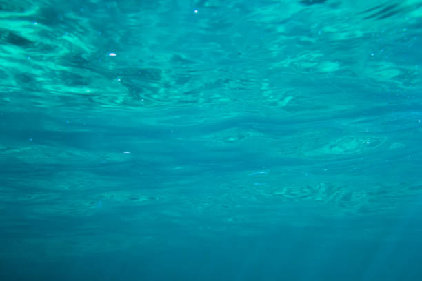 istock Texture of blue water in tropical ocean. Underwater blue background 681098910