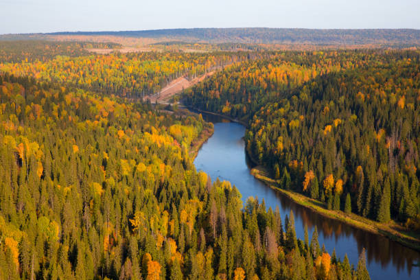 istock River and autumn forest aerial view 681107212