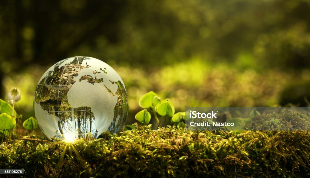Environment conservation concept Close up of glass globe in the forest with copy space Environmental Conservation Stock Photo