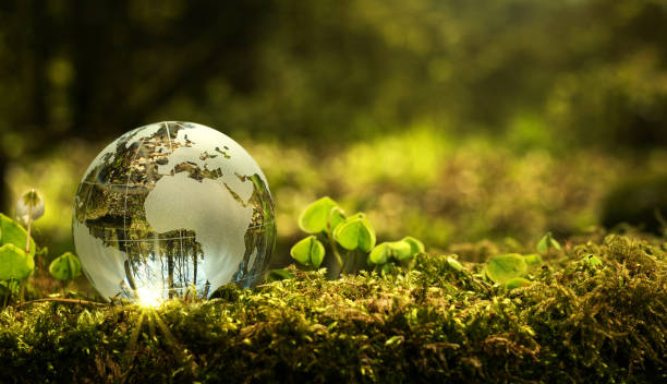 Environment conservation concept Close up of glass globe in the forest with copy space water balls for plants pictures stock pictures, royalty-free photos & images