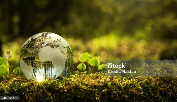Environment Conservation Concept Stock Photo - Download Image Now - Environmental Conservation, Globe - Navigational Equipment, Planet - Space