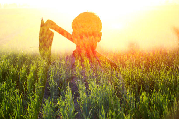 Farmer silhouette in the field