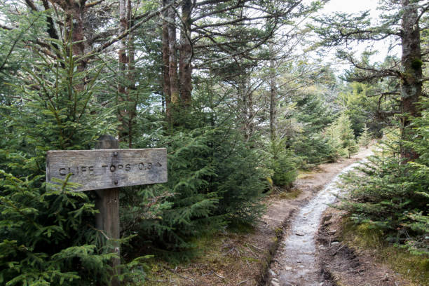 崖の上の歩道の標識 - tennessee great smoky mountains great smoky mountains national park north carolina ストックフォトと画像