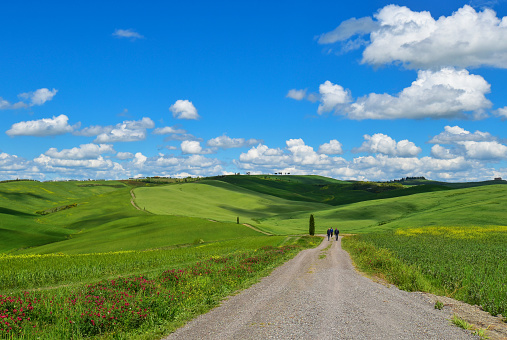 Val d'Orcia, Italy - 1 May 2016 - The wonderful and very famous landscape of Tuscany region, during the spring, with its most characteristic landmarks protected by copyright.