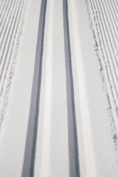 istock Freshly Groomed Cross Country Ski Tracks 681143118