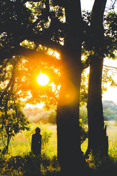 istock Woman in a beautiful forest under a tree 681156154
