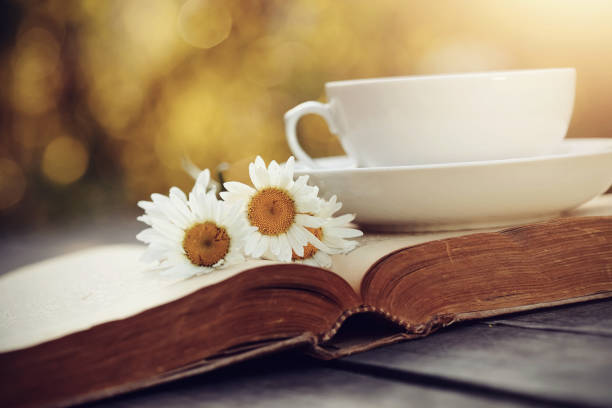 istock Old book and a cup with a camomiles on a wooden table. 681163318