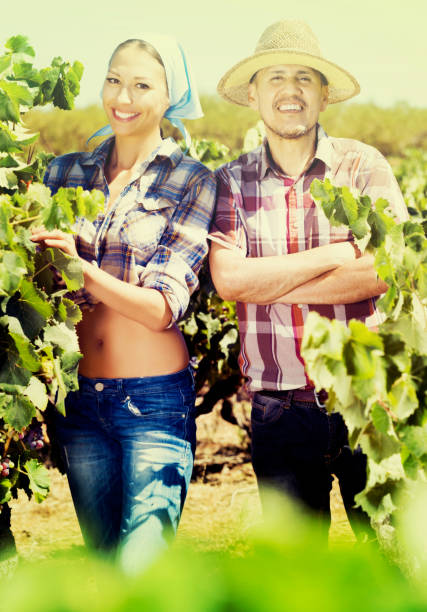 istock Gardeners standing among grapes trees 681169056