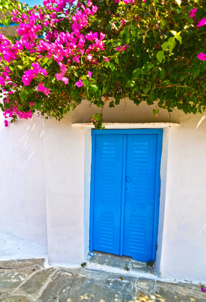 istock blue window and bougainvillea at Cyclades Greece 681176346