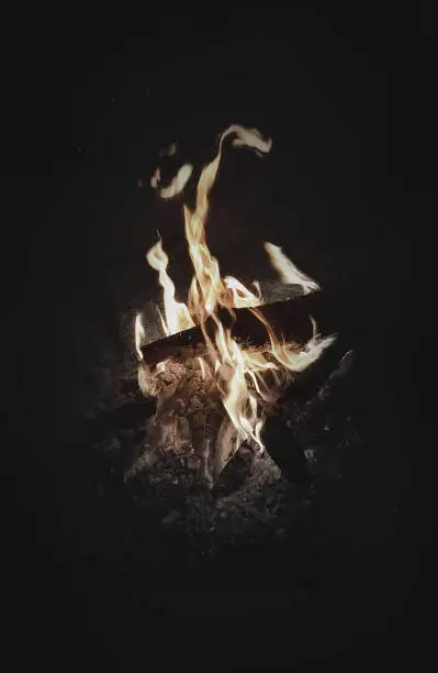 A burning woodfire at a camping spot - flames
