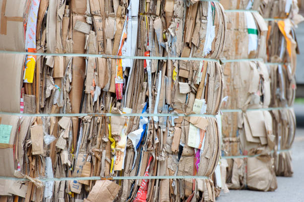 istock Bales of cardboard and box board with strapping wire ties 681199868