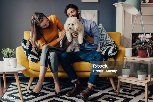 Eine Glückliche Familie Im Wohnzimmer Spielen Stockfoto und mehr Bilder von Paar - Partnerschaft - Paar - Partnerschaft, Klein, Sofa