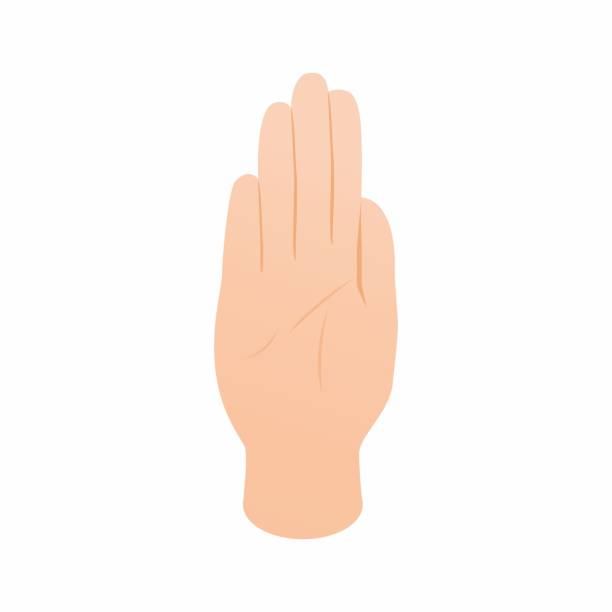 ilustrações de stock, clip art, desenhos animados e ícones de stop gesture icon, isometric 3d style - human hand stop gesture stop sign isometric