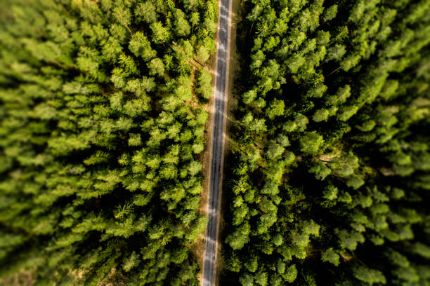 istock Top View of Rural Road 681208062