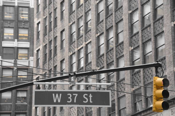 yellow traffic light, New York, black and white