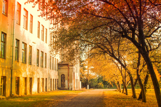 Autumn landscape in the park, sunny day in the park with trees and building