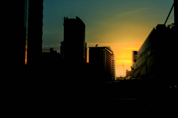 istock abstract of crane in sunset 681252574
