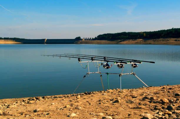 varas de pesca configurar ao lado de um lago de água doce, esperando por uma mordida. - mill - fotografias e filmes do acervo