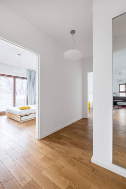 istock Open interior of modern apartment 681288590
