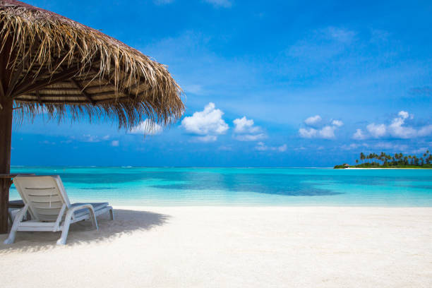 istock tropical beach in Maldives 681329252