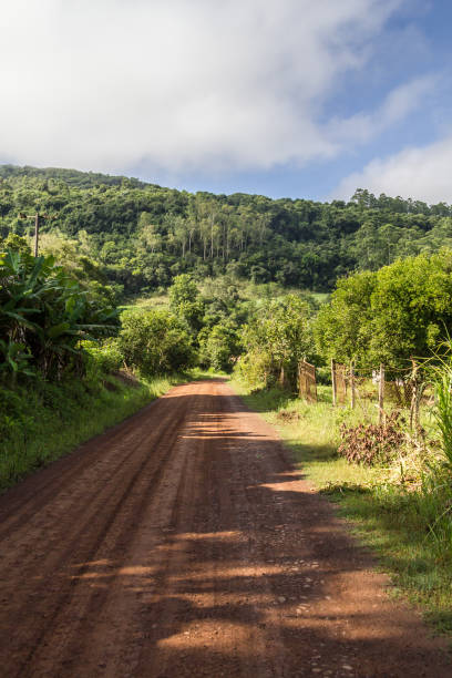istock Dirt road in countryside 681332712