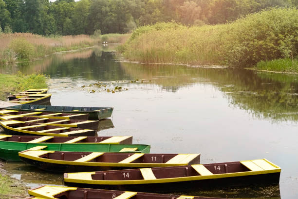 istock Rowboats in the swamp 681362092