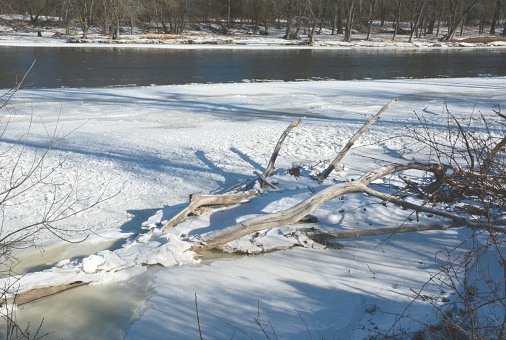 Winter riverscape displaying driftwood frozen into an expansive ice layer covering the Upper Mississippi River, in central Minnesota.