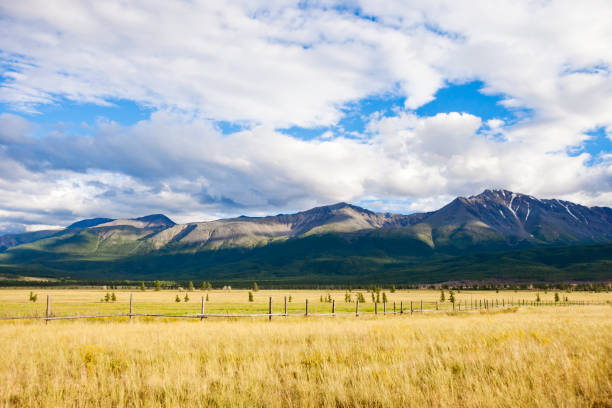 istock Kurai steppe. Mountain Altai nature. Summer landscape. Russia 681413680