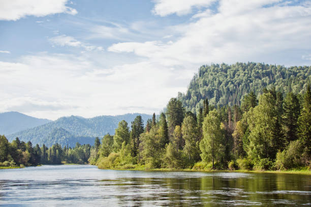 istock Biya river landscape. Altai. Russian nature 681414852