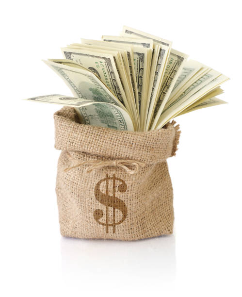 istock Money in the sack 681455920
