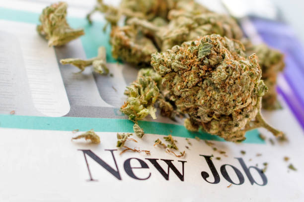 istock Finding a new job as a marijuana patient 681471326