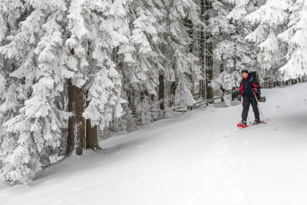 istock Man hiking in winter forest 681506654