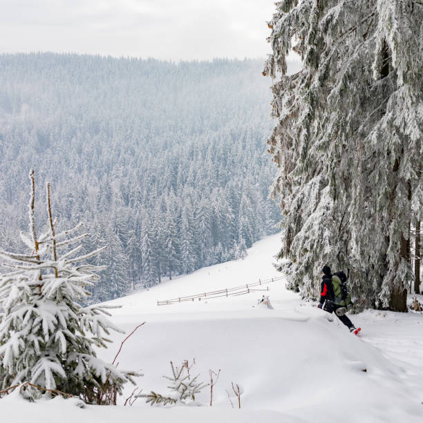 istock Man hiking in Carpathian mountains. 681506722