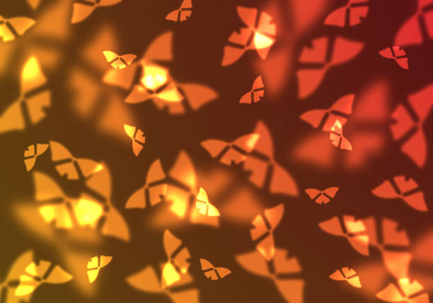 Colorful abstract background. Abstract butterfly background. Magic light illustration background with lovely butterfly design.