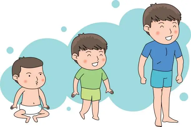 Vector illustration of puberty