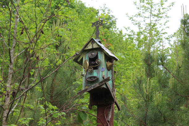 istock Birdhouse with snake looking out 681574640
