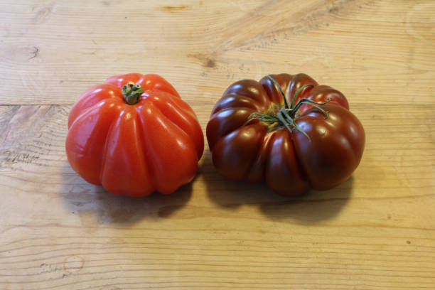 istock Red and purple heirloom tomatoes 681575024
