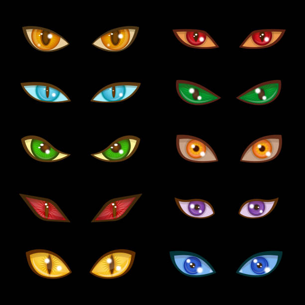 Danger animal monster evil glow eyes expressions on dark black background vector illustration Danger animal monster evil glow eyes set for faces depicting range expressions on dark black background vector illustration. Bright dangerous design scary wild eyeball. creepy glowing eyes stock illustrations