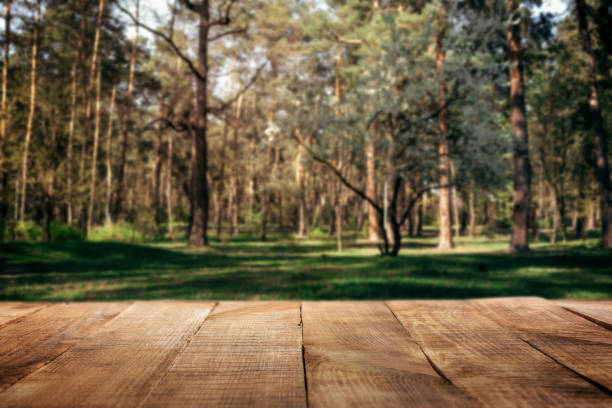 istock Empty wooden table in the background of the park 681606092