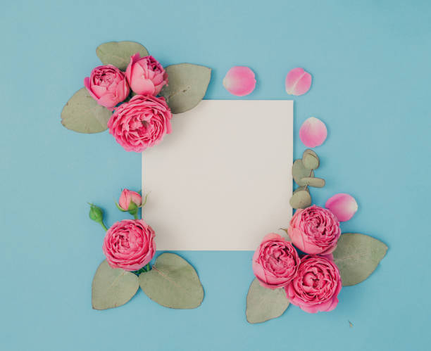 istock Layout with pink roses and eucalyptus leaves on a blue background 681606372