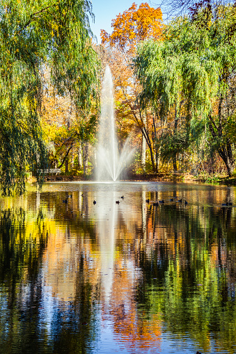 Tranquillity: beautiful fountain reflected in still lake surrounded by autumn colours, vertical,