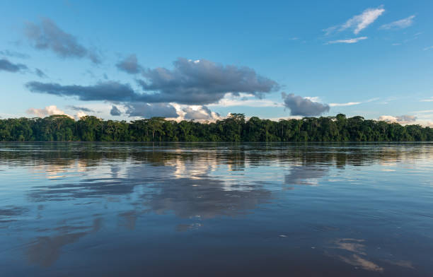 Amazon River The Amazon river in the region of Iquitos, Peru. iquitos photos stock pictures, royalty-free photos & images
