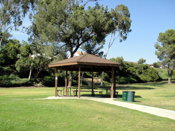 istock A Sunny Day at the Park 681618196