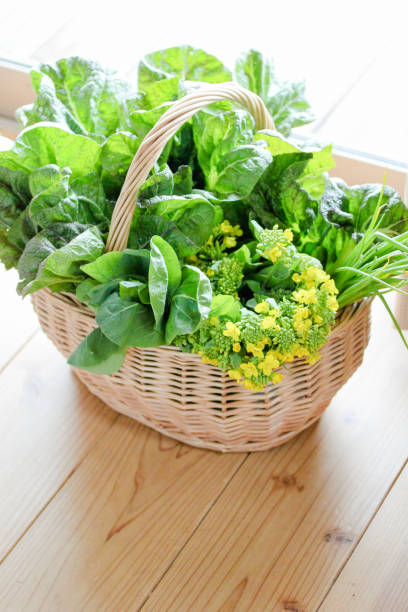 istock Basket of salads. 681618440