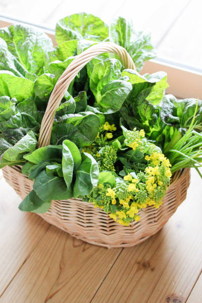 istock Basket of salads. 681618452