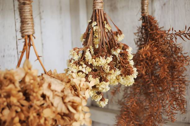Dry flower hanging on the wall