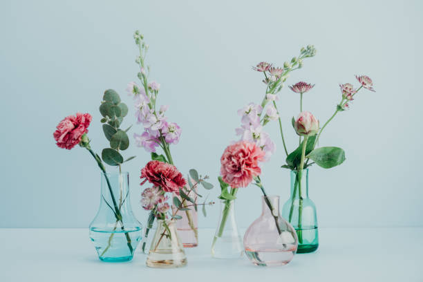 istock Flower arrangement in pastel 681629820