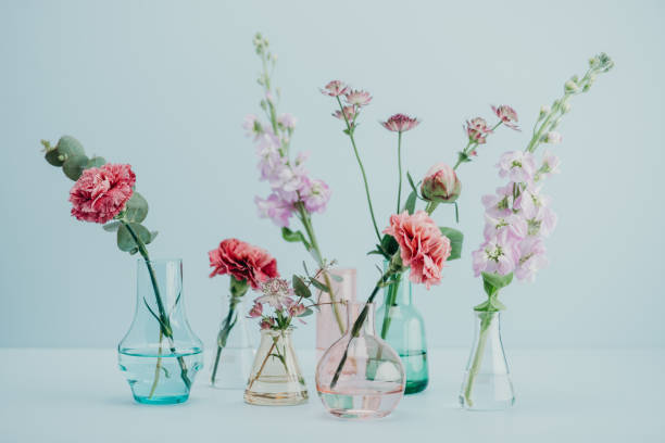 istock Flower arrangement in pastel 681629822