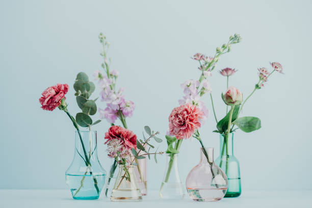 istock Flower arrangement in pastel 681629824