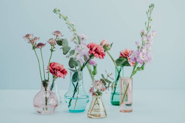 istock Flower arrangement in pastel 681631998